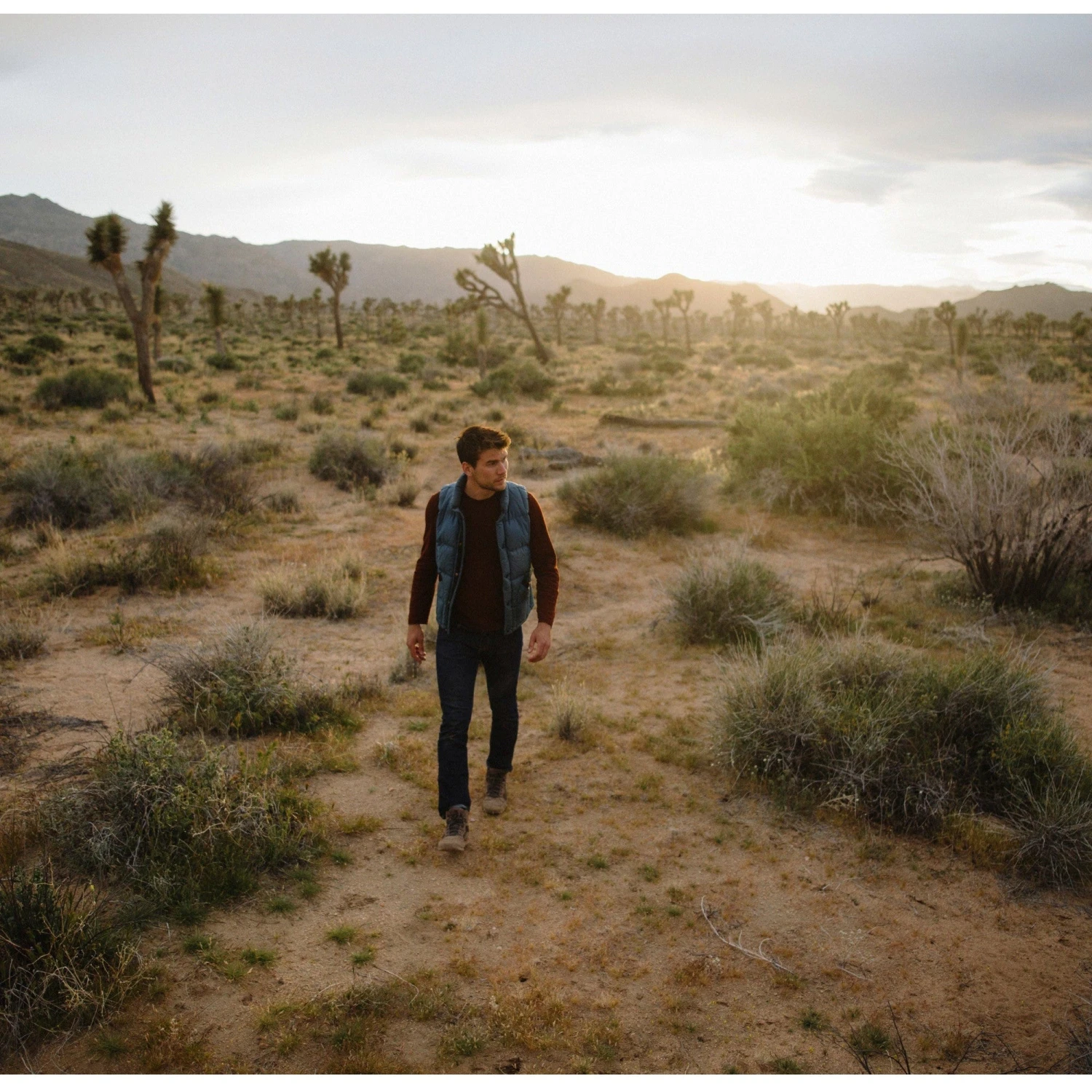 Danner Men's Skyridge 4.5" WP Hiking Shoe - Dark Earth - 30162 12 Danner Men's Skyridge 4.5" WP Hiking Shoe - Dark Earth - 30162 - Image 10