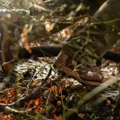 Lacrosse Men's Atlas 8" Soft Toe WP 1200G Ins Hunt Boot- Mossy Oak- 572113 -Boot Shop 572113 alt1